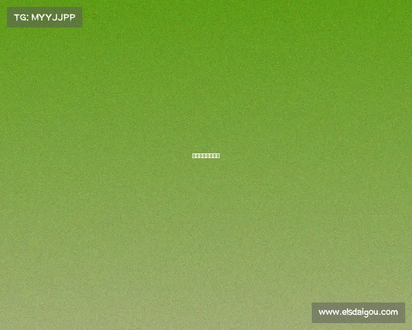 珠海王者荣耀比赛